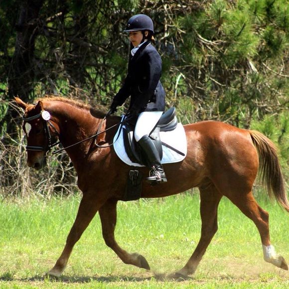 Meet your Posher, Dawn - Picture 1 of 1